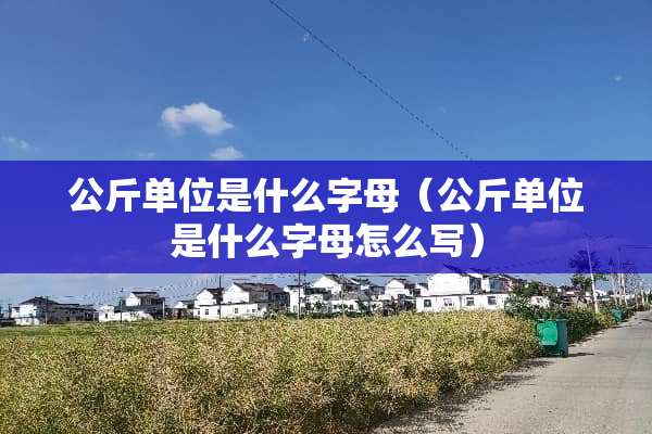 公斤单位是什么字母(公斤单位是什么字母怎么写) 公斤单位是什么字母(公斤单位是什么字母怎么写)