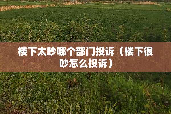 楼下太吵哪个部门投诉(楼下很吵怎么投诉) 楼下太吵哪个部门投诉(楼下很吵怎么投诉)