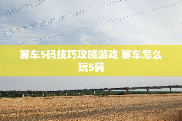 赛车5码技巧攻略游戏 赛车怎么玩5码