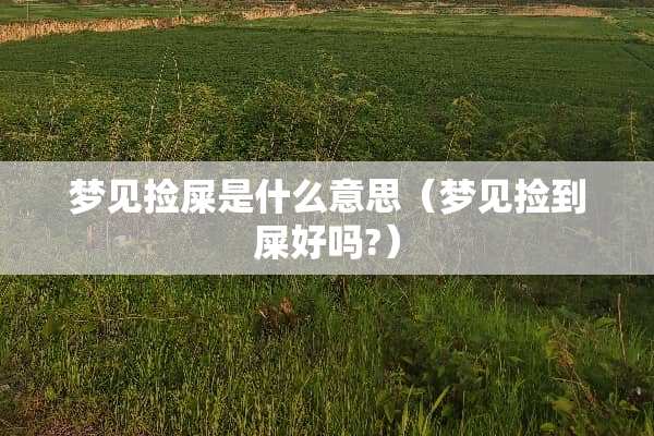 梦见捡屎是什么意思（梦见捡到屎好吗?）