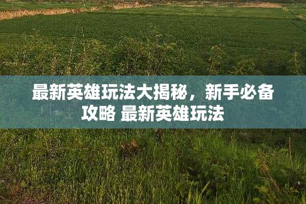 最新英雄玩法大揭秘，新手必备攻略 最新英雄玩法