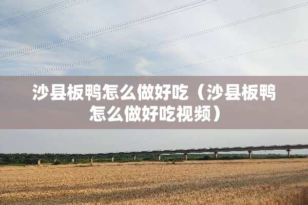 沙县板鸭怎么做好吃（沙县板鸭怎么做好吃视频）