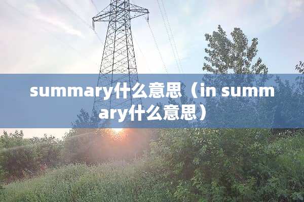 summary什么意思（in summary什么意思）
