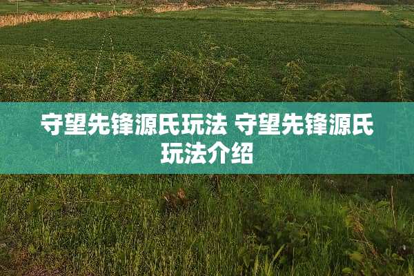 守望先锋源氏玩法 守望先锋源氏玩法介绍 守望先锋源氏玩法 守望先锋源氏玩法介绍