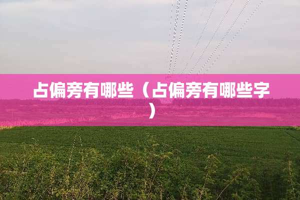 占偏旁有哪些（占偏旁有哪些字）