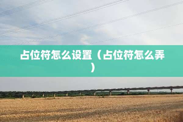 占位符怎么设置(占位符怎么弄) 占位符怎么设置(占位符怎么弄)