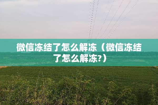 微信冻结了怎么解冻（微信冻结了怎么解冻?）