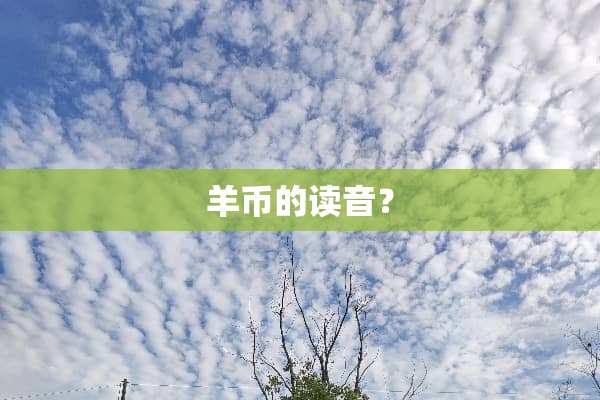 羊币的读音？
