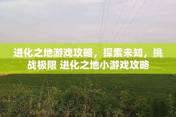 进化之地游戏攻略,探索未知,挑战极限 进化之地小游戏攻略 进化之地游戏攻略,探索未知,挑战极限 进化之地小游戏攻略