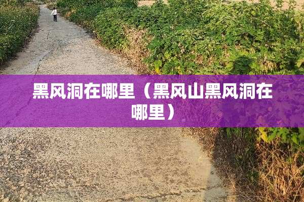 黑风洞在哪里（黑风山黑风洞在哪里）
