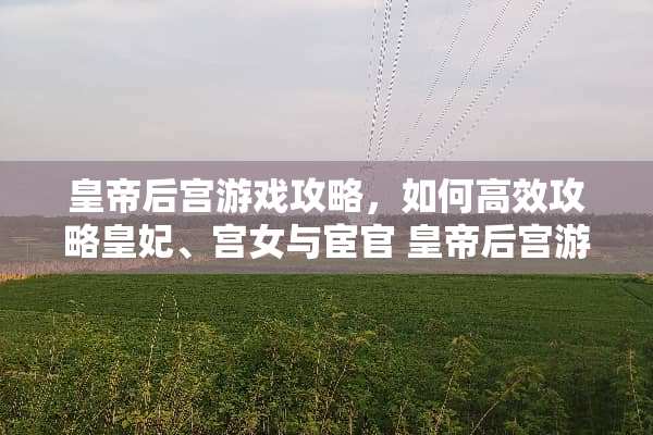 皇帝后宫游戏攻略,如何高效攻略皇妃、宫女与宦官 皇帝后宫游戏攻略 皇帝后宫游戏攻略,如何高效攻略皇妃、宫女与宦官 皇帝后宫游戏攻略