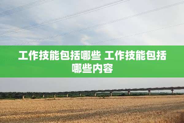 工作技能包括哪些 工作技能包括哪些内容 工作技能包括哪些 工作技能包括哪些内容