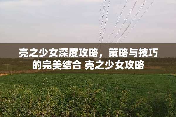 壳之少女深度攻略,策略与技巧的完美结合 壳之少女攻略 壳之少女深度攻略,策略与技巧的完美结合 壳之少女攻略