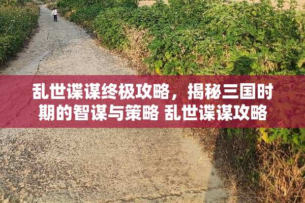 乱世谍谋终极攻略,揭秘三国时期的智谋与策略 乱世谍谋攻略 乱世谍谋终极攻略,揭秘三国时期的智谋与策略 乱世谍谋攻略