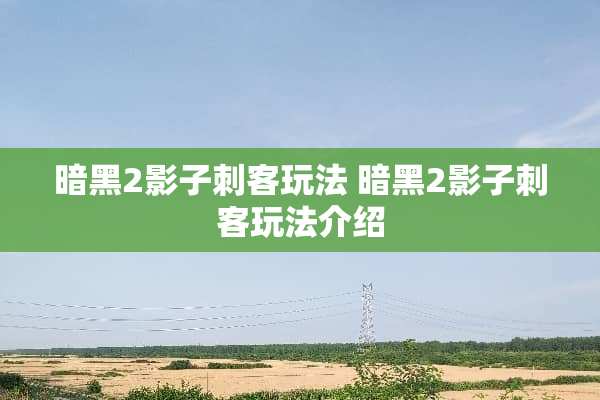 暗黑2影子刺客玩法 暗黑2影子刺客玩法介绍 暗黑2影子刺客玩法 暗黑2影子刺客玩法介绍