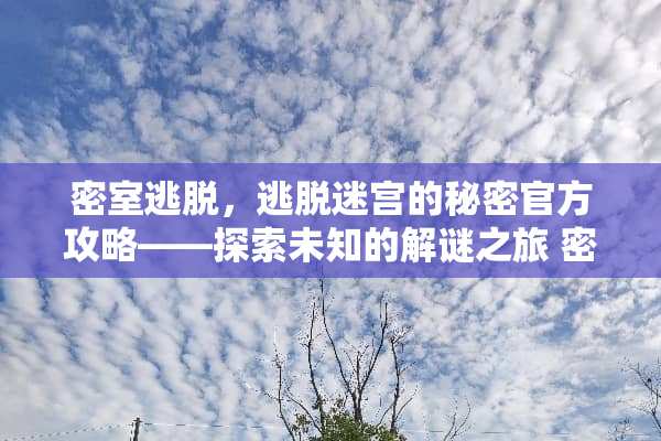 密室逃脱,逃脱迷宫的秘密官方攻略——探索未知的解谜之旅 密室逃脱官方攻略 密室逃脱,逃脱迷宫的秘密官方攻略——探索未知的解谜之旅 密室逃脱官方攻略