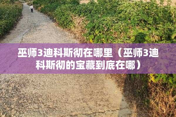 巫师3迪科斯彻在哪里(巫师3迪科斯彻的宝藏到底在哪) 巫师3迪科斯彻在哪里(巫师3迪科斯彻的宝藏到底在哪)