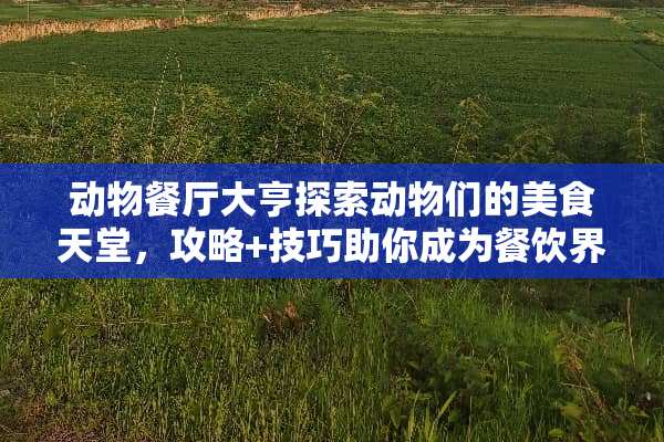 动物餐厅大亨探索动物们的美食天堂,攻略+技巧助你成为餐饮界新星! 游戏推荐动物餐厅攻略 动物餐厅大亨探索动物们的美食天堂,攻略+技巧助你成为餐饮界新星! 游戏推荐动物餐厅攻略