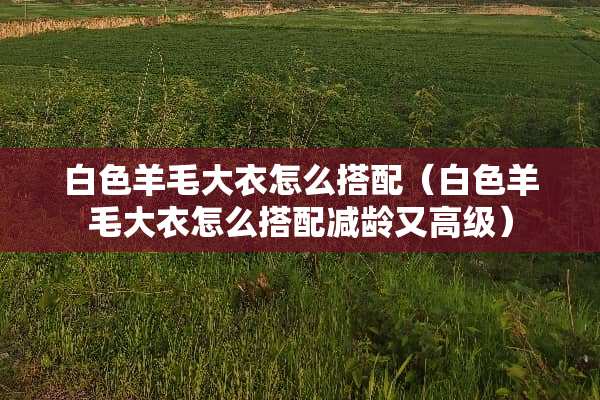 白色羊毛大衣怎么搭配(白色羊毛大衣怎么搭配减龄又高级) 白色羊毛大衣怎么搭配(白色羊毛大衣怎么搭配减龄又高级)