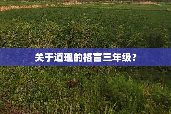 关于道理的格言三年级？