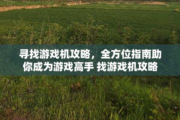 寻找游戏机攻略,全方位指南助你成为游戏高手 找游戏机攻略 寻找游戏机攻略,全方位指南助你成为游戏高手 找游戏机攻略