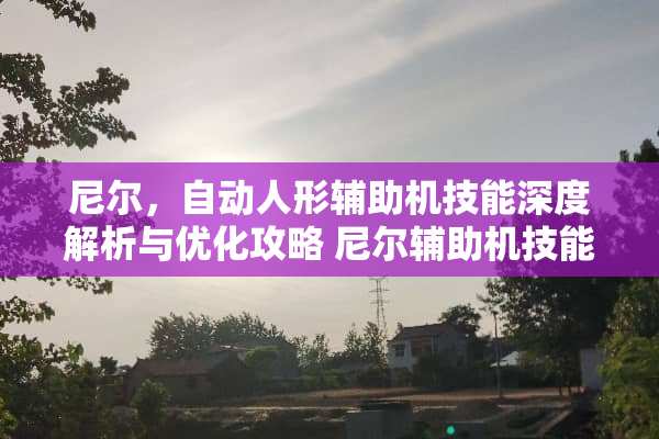 尼尔,自动人形辅助机技能深度解析与优化攻略 尼尔辅助机技能 尼尔,自动人形辅助机技能深度解析与优化攻略 尼尔辅助机技能