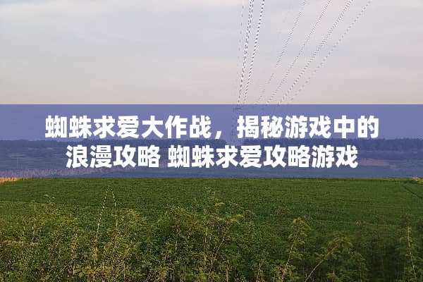 蜘蛛求爱大作战,揭秘游戏中的浪漫攻略 蜘蛛求爱攻略游戏 蜘蛛求爱大作战,揭秘游戏中的浪漫攻略 蜘蛛求爱攻略游戏
