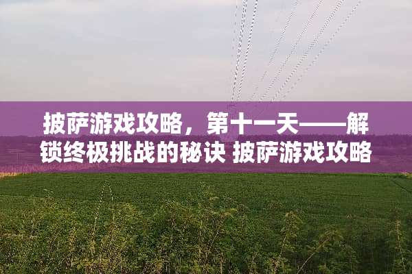 披萨游戏攻略,第十一天——解锁终极挑战的秘诀 披萨游戏攻略第十一天 披萨游戏攻略,第十一天——解锁终极挑战的秘诀 披萨游戏攻略第十一天