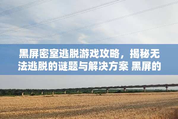 黑屏密室逃脱游戏攻略,揭秘无法逃脱的谜题与解决方案 黑屏的密室逃脱游戏攻略 黑屏密室逃脱游戏攻略,揭秘无法逃脱的谜题与解决方案 黑屏的密室逃脱游戏攻略