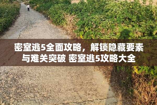 密室逃5全面攻略，解锁隐藏要素与难关突破 密室逃5攻略大全