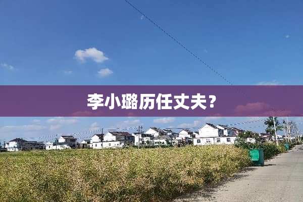 李小璐历任丈夫？