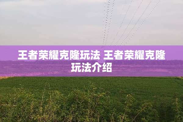 王者荣耀**玩法 王者荣耀**玩法介绍 王者荣耀**玩法 王者荣耀**玩法介绍