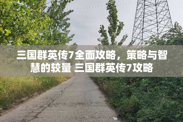 三国群英传7全面攻略,策略与智慧的较量 三国群英传7攻略 三国群英传7全面攻略,策略与智慧的较量 三国群英传7攻略