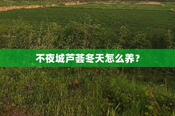 ***芦荟冬天怎么养？