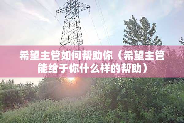 希望主管如何帮助你（希望主管能给于你什么样的帮助）