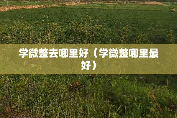 学微整去哪里好(学微整哪里最好) 学微整去哪里好(学微整哪里最好)