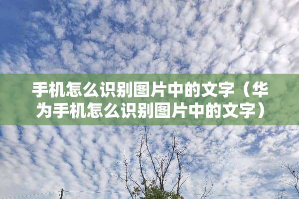 手机怎么识别图片中的文字(华为手机怎么识别图片中的文字) 手机怎么识别图片中的文字(华为手机怎么识别图片中的文字)