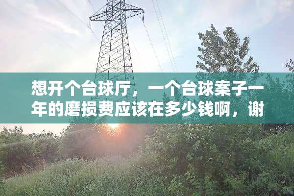 想开个台球厅，一个台球案子一年的磨损费应该在多少钱啊，谢谢？