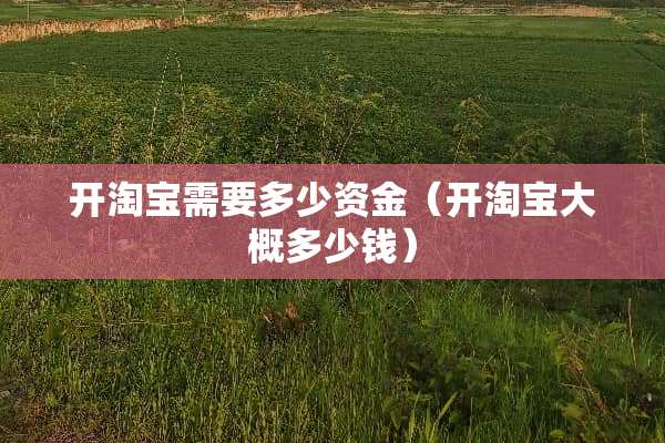 开淘宝需要多少资金（开淘宝大概多少钱）