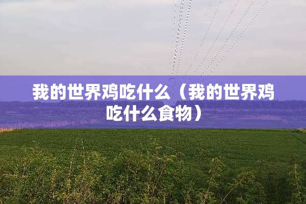 我的世界鸡吃什么(我的世界鸡吃什么食物) 我的世界鸡吃什么(我的世界鸡吃什么食物)