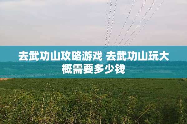 去武功山攻略游戏 去武功山玩大概需要多少钱