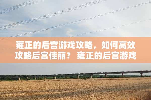 雍正的后宫游戏攻略,如何高效攻略后宫佳丽? 雍正的后宫游戏攻略 雍正的后宫游戏攻略,如何高效攻略后宫佳丽? 雍正的后宫游戏攻略