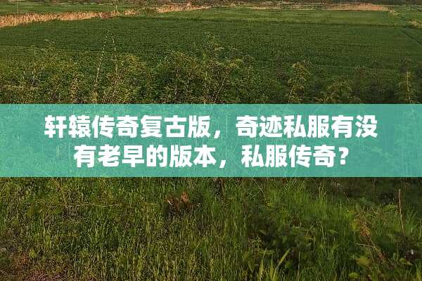 轩辕传奇复古版，奇迹**有没有老早的版本，**传奇？