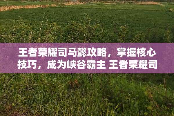 王者荣耀司马懿攻略，掌握核心技巧，成为峡谷霸主 王者荣耀司马懿攻略