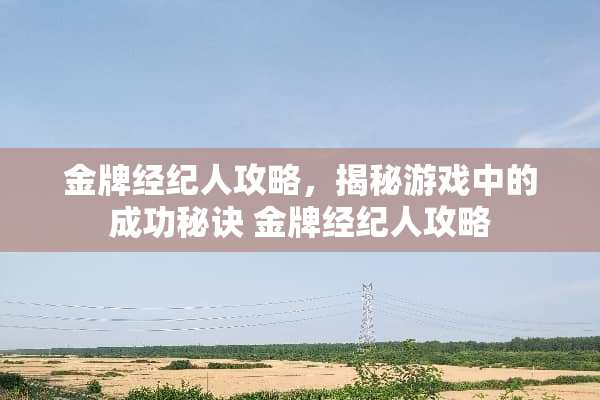 金牌经纪人攻略,揭秘游戏中的成功秘诀 金牌经纪人攻略 金牌经纪人攻略,揭秘游戏中的成功秘诀 金牌经纪人攻略