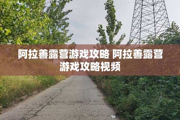 阿拉善露营游戏攻略 阿拉善露营游戏攻略视频