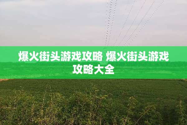 爆火街头游戏攻略 爆火街头游戏攻略大全