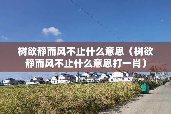 树欲静而风不止什么意思(树欲静而风不止什么意思打**) 树欲静而风不止什么意思(树欲静而风不止什么意思打**)