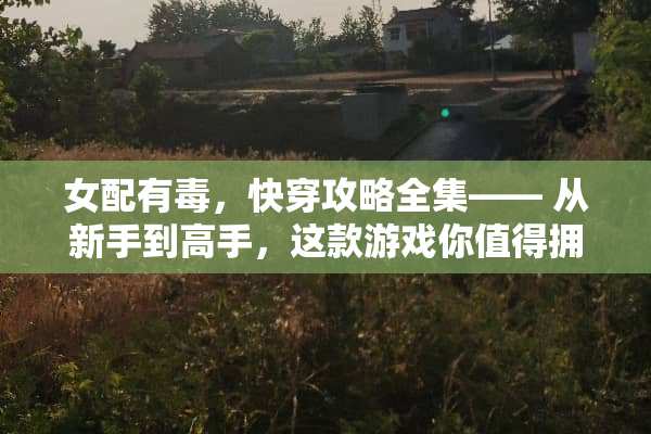 女配有毒，快穿攻略全集—— 从新手到高手，这款游戏你值得拥有！ 快穿攻略女配有毒