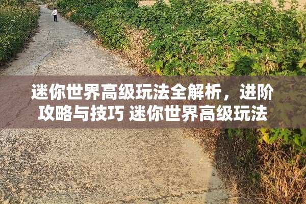 迷你世界高级玩法全解析，进阶攻略与技巧 迷你世界高级玩法